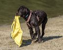 20220806-master-0054