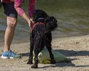 20220806-wwd-0002