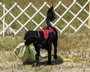 20220806-wwd-0006