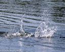 20220806-wwd-0027