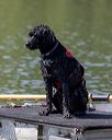 20220806-wwd-0034
