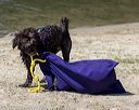 20220806-wwd-0061