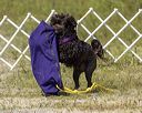 20220806-wwd-0071