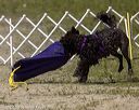 20220806-wwd-0074