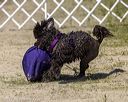 20220806-wwd-0076