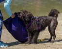 20220806-wwd-0079