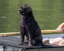 20220806-wwd-0093