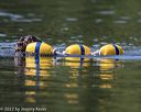 20220806-wwd-0109