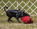 20220806-wwd-0123