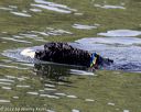 20220806-wwd-0135