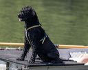 20220806-wwd-0147