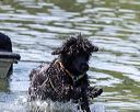 20220806-wwd-0157
