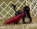 20220806-wwd-0161