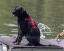 20220806-wwd-0191