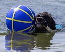 20220806-wwd-0232