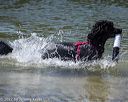 20220806-wwd-0237