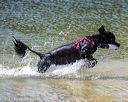 20220806-wwd-0239