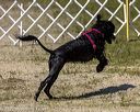 20220806-wwd-0247