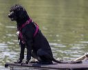 20220806-wwd-0277
