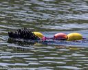 20220806-wwd-0283