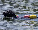 20220806-wwd-0284