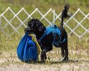 20220807-wwd-0071