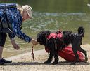 20220807-wwd-0117