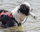 20220807-wwd-0284