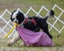 20220807-wwd-0287