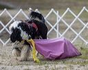 20220807-wwd-0288