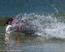 20220807-jwd-0030