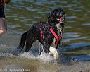 20220807-jwd-0041