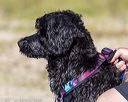 20220807-jwd-0064