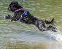 20220807-jwd-0066