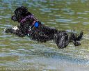 20220807-jwd-0067