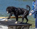 20220807-jwd-0088