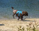20220807-jwd-0107