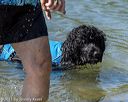 20220807-jwd-0131