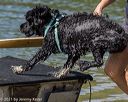 20220807-jwd-0176