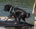 20220807-jwd-0178