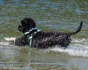 20220807-jwd-0184