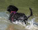 20220807-jwd-0191