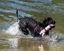20220807-jwd-0197