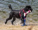 20220807-jwd-0207