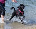 20220807-jwd-0215