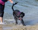 20220807-jwd-0216
