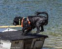 20220807-jwd-0237