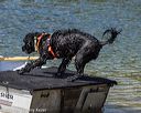 20220807-jwd-0238