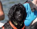 20220807-jwd-0240