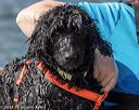 20220807-jwd-0253